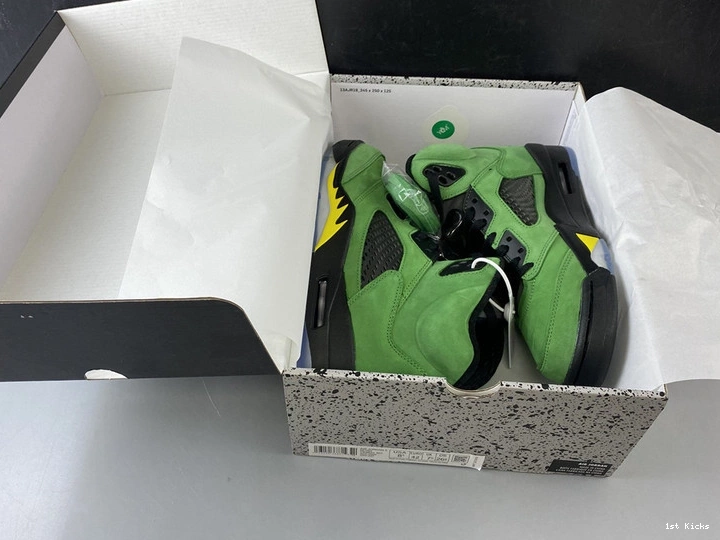 “Oregon” CK6631-307 Jordan Air 5  1126